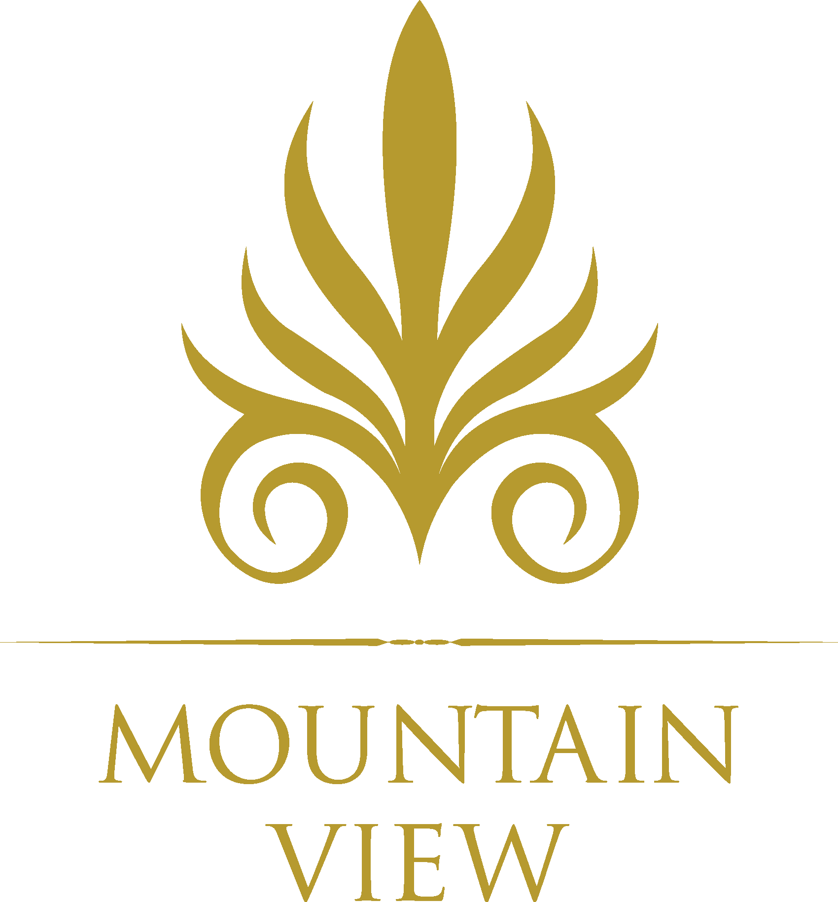 Logo view. Mountain view логотип. Hyde Park лого. View logo. I-view логотип.