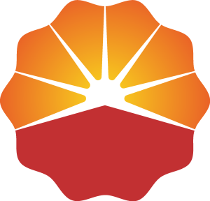 Petrochina Icon Logo Vector