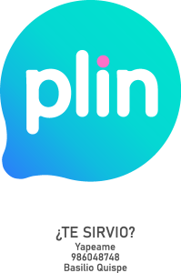 Plin Logo Vector