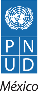 Pnud Logo Vector