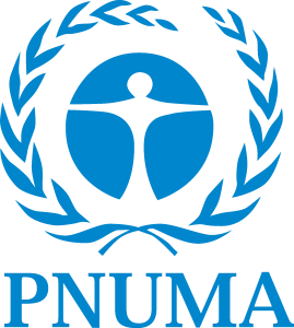 Pnuma Logo Vector