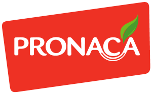 Pronaca Logo Vector