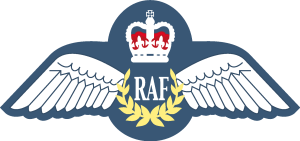 Raf Tunic Badge Logo Vector