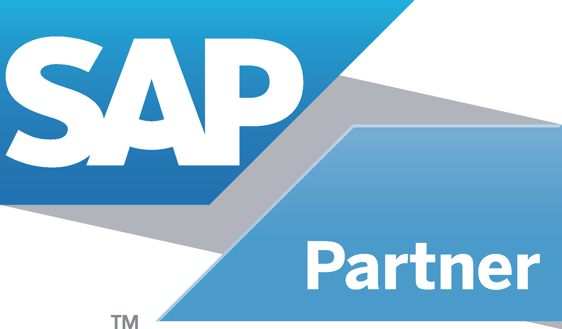 SAP Partner Logo Vector - (.Ai .PNG .SVG .EPS Free Download)
