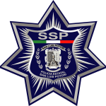 SSP Logo Vector