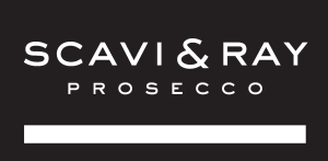 Scavi & Ray Logo Vector