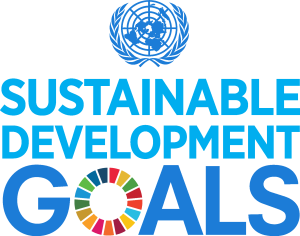 Sdg Logo Vector