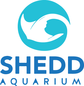 Shedd Aquarium Logo Vector