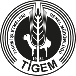 Tigem Logo Vector