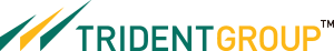 Trident Group Logo Vector