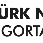 Turk Nippon Sigorta Logo Vector