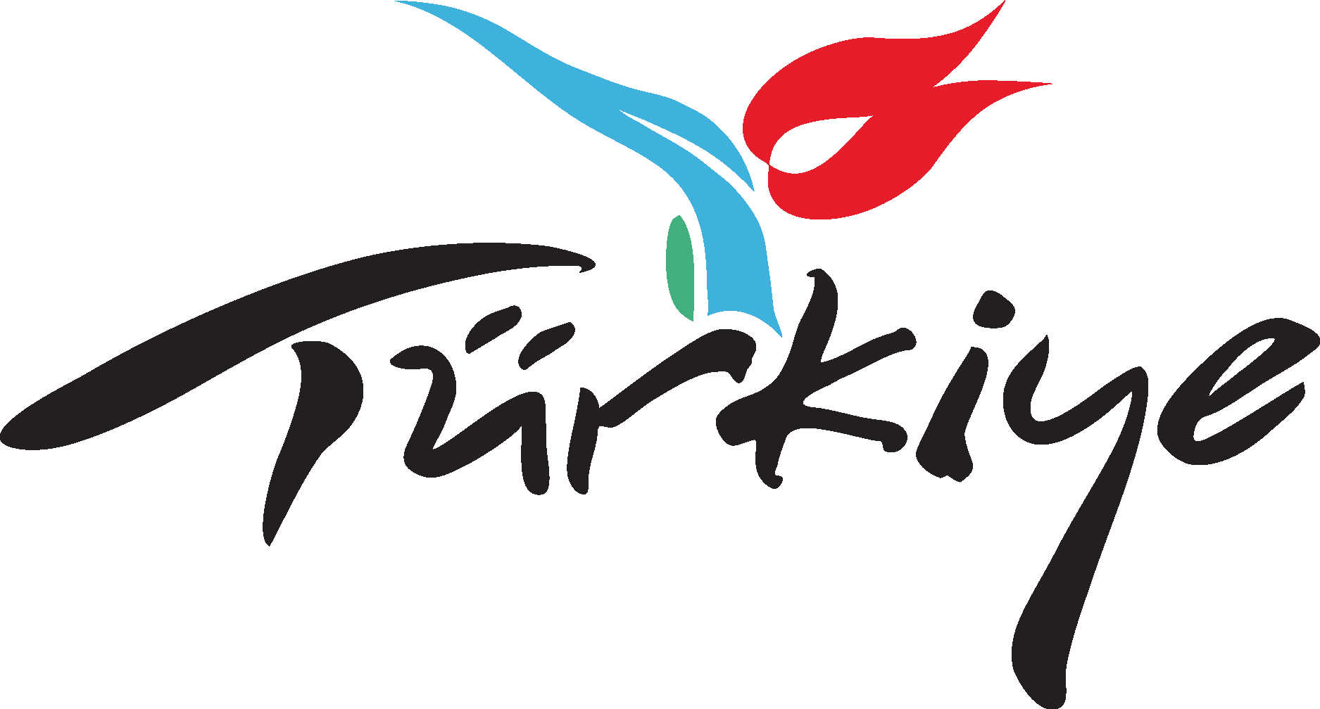 Turkish Logo Vector