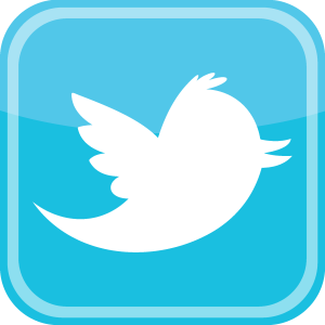 Twitter bird Logo Vector