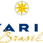 Varig Brasil Logo Vector