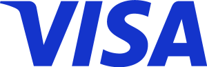 Visa New 2021 Logo Vector