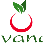 Vivanda Logo Vector