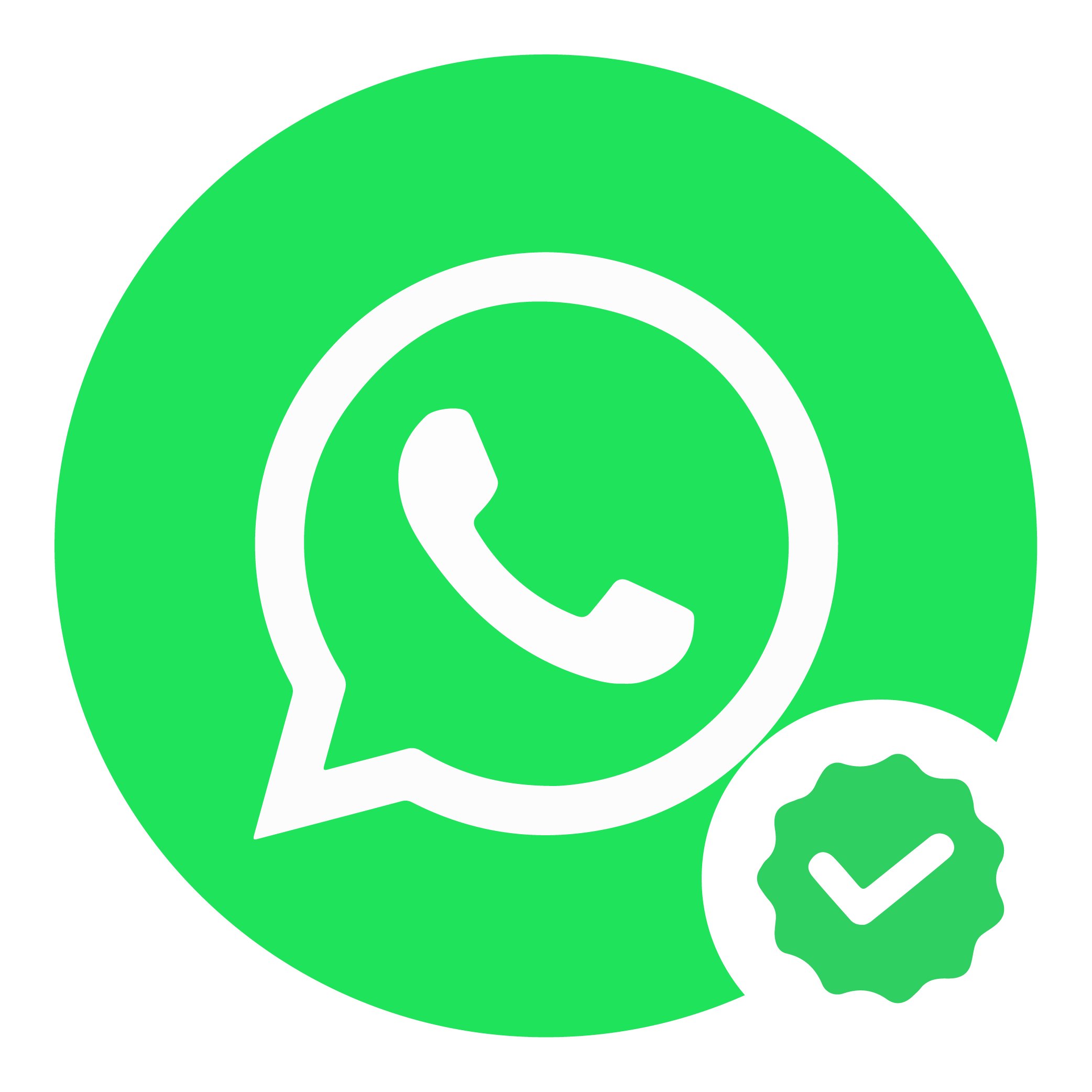 Whatsapp Verified Logo Vector