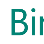 bing new 2016 Logo Vector