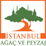 istanbul agac ve peyzaj Logo Vector