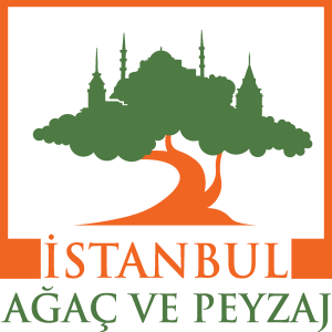 istanbul agac ve peyzaj Logo Vector