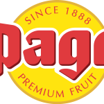 pago Logo Vector