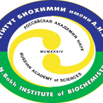 A.N.Bach Institute of Biochemistry of RAS Logo Vector