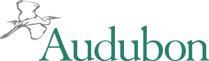 Audubon Logo Vector