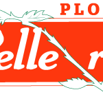 Belle Rose Logo Vector