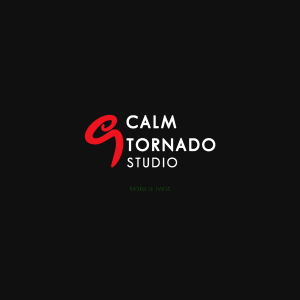 Calm tornado Studio Logo Vector