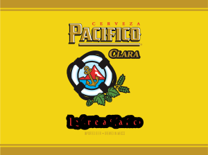 Cerveza Pacifico bottle can Logo Vector