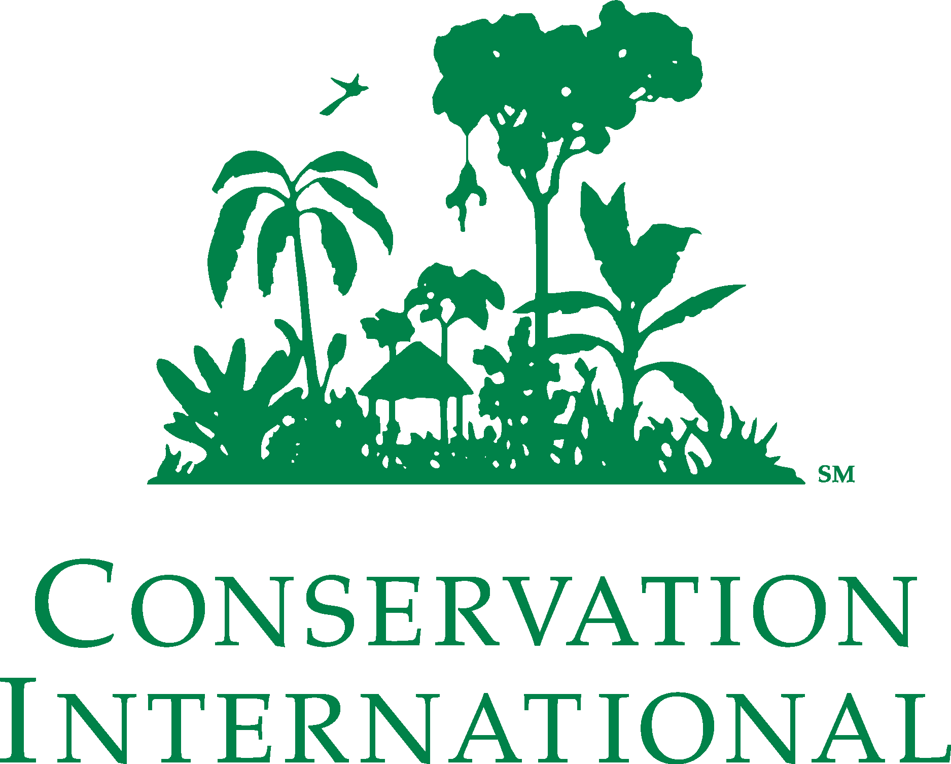 Ci International logo. Conservation services Group logo. Conservation International суть программы.