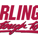 Darlington Raceway Logo Vector