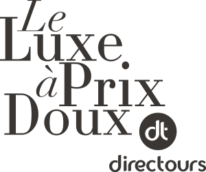 Directours Logo Vector