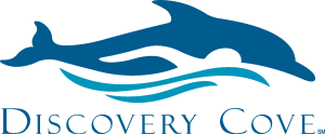 Discovery Cove Logo Vector