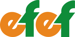 Efef Logo Vector