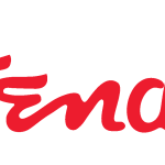 Fender Guitars Logo Vector