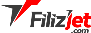 Filizjet Logo Vector