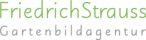 Friedrich Strauss Logo Vector