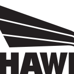 Hawk Logo Vector