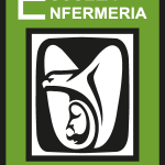 IMSS ENFERMERIA Logo Vector