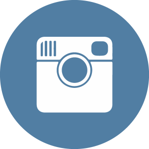 Instagram Icon Logo Vector