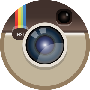 Instagram color icon Logo Vector