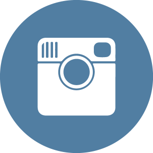Instagram flat icon circle Logo Vector