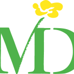 MD Logo Vector