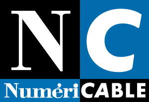 NC Logo Vector