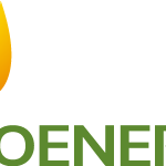 Neoenergia Logo Vector