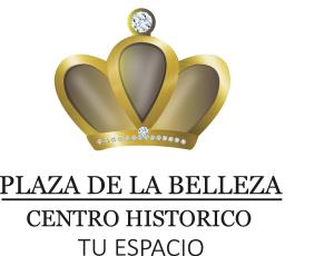 PLAZA DE LA BELLEZA CH Logo Vector