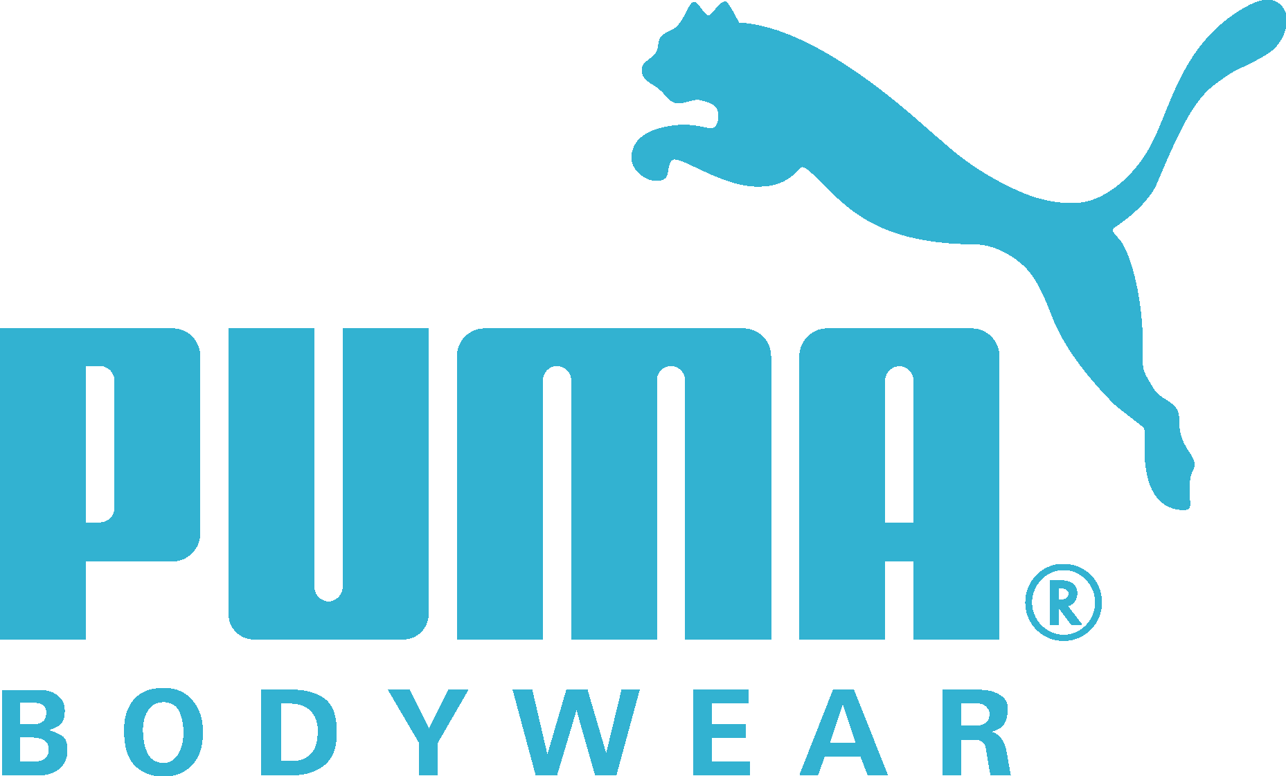 Puma Free Stock Vectors