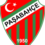 Paşabahçe Spor Logo Vector