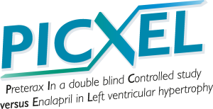 Picxel Logo Vector